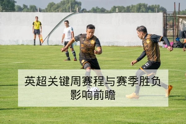 意甲伤病名单与球员预计复出进度追踪